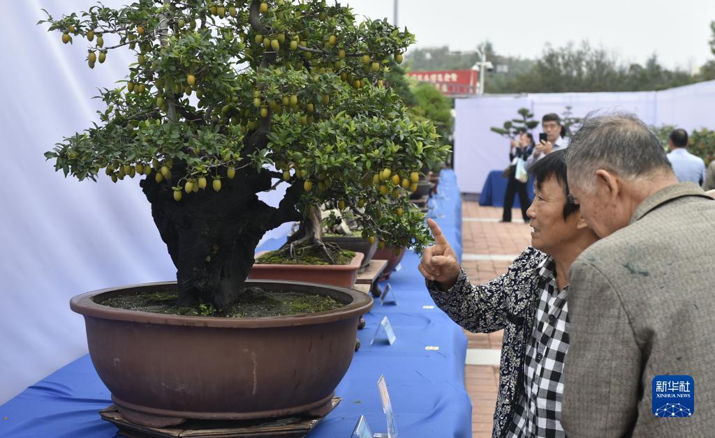 凤凰平台手机开户
