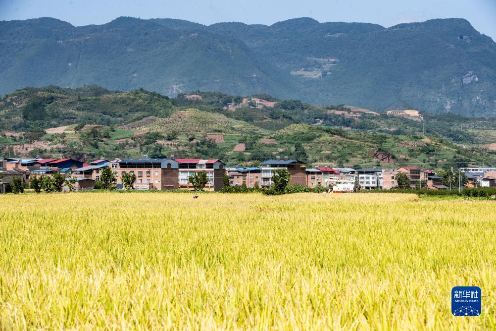 bbin游戏下载